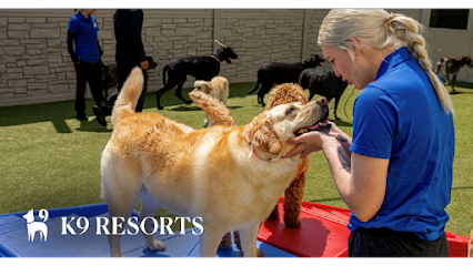 K9 Resorts Luxury Pet Hotel Scottsdale, Phoenix