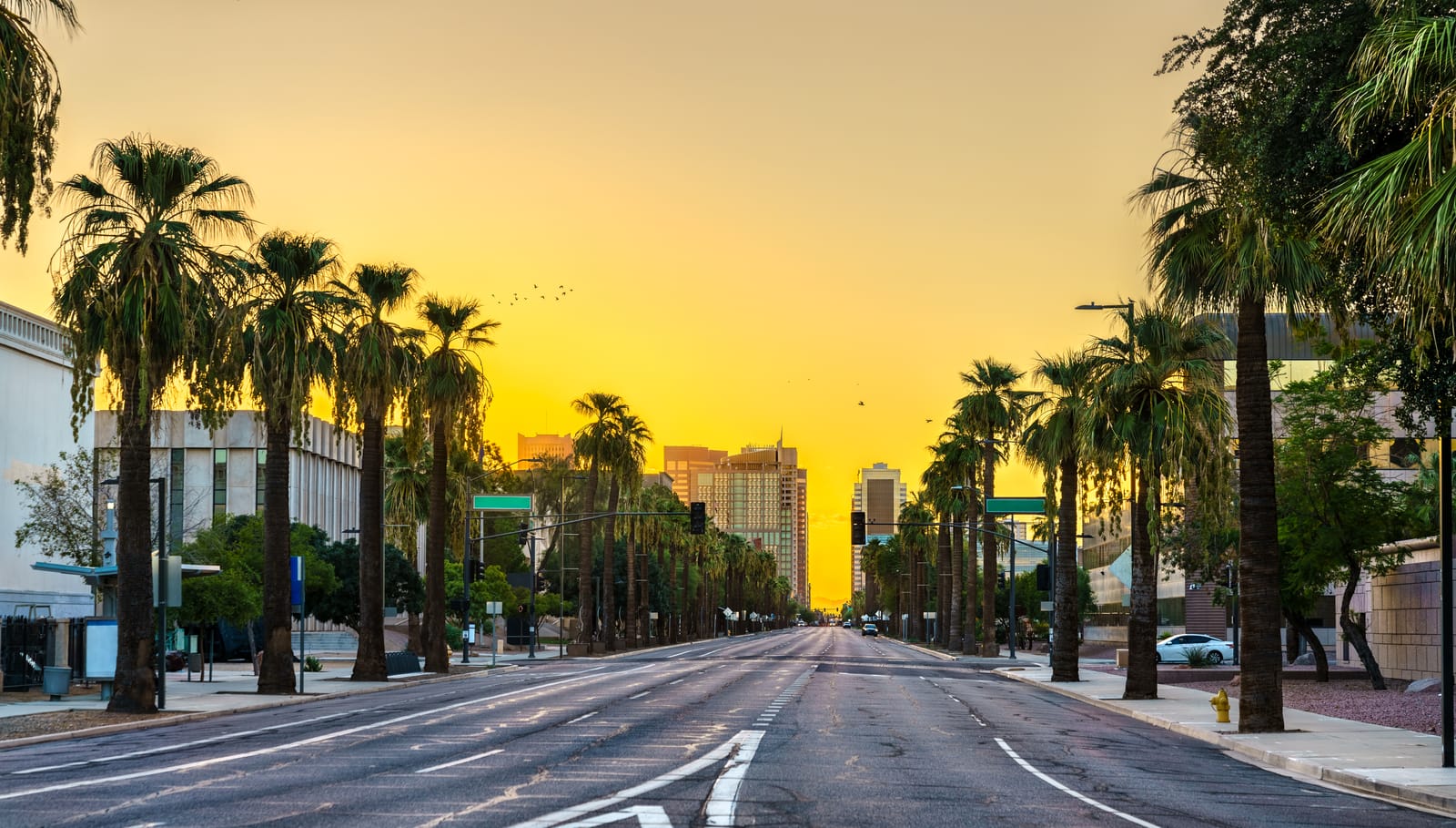 Palm-lined Washington Street in downtown Phoenix at sunrise, with an empty road and towers ahead