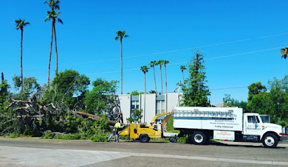 Badger Tree Service, Phoenix