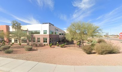 Phoenix Tree Service Inc.