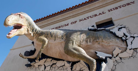Arizona Museum of Natural History, Phoenix