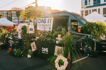 Dig It Gardens, Phoenix