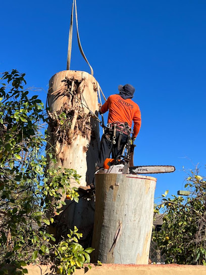 Chips Tree Service, Phoenix