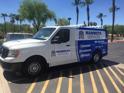 Mammoth Services, Phoenix