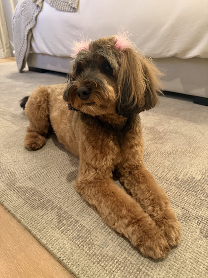 FurBabies Resort and Spa, Phoenix