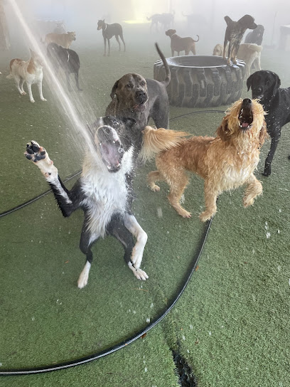 Pete and Mac’s Pet Resort, Phoenix