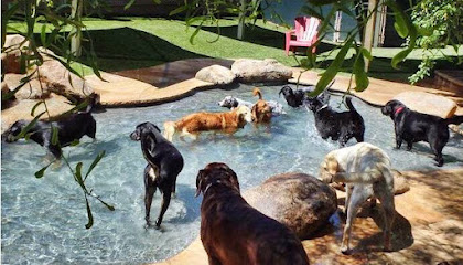 Second Home Pet Resort, Phoenix