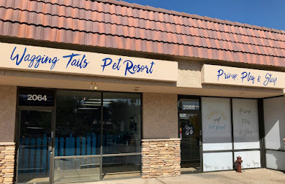 Wagging Tails Pet Resort, Phoenix
