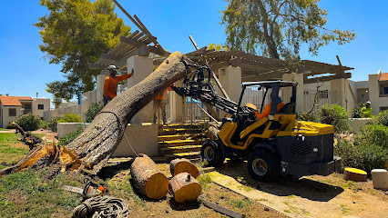 Harris & Sons Tree Specialists, Phoenix