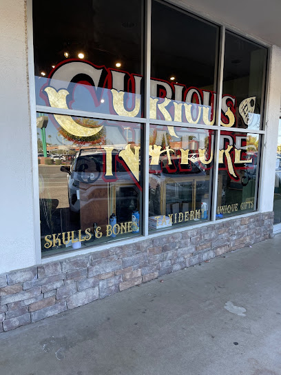 Curious Nature, Phoenix